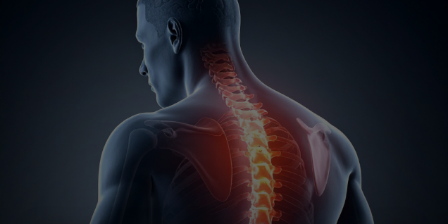 Zwycięstwo na starcie. W jaki spos&oacute;b odkryć własną specjalizację w fizjoterapii i skutecznie umacniać swoje kompetencje?